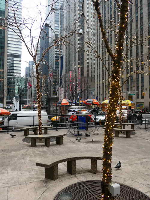 NYC_2020-02-01 14-14-28_P1090230